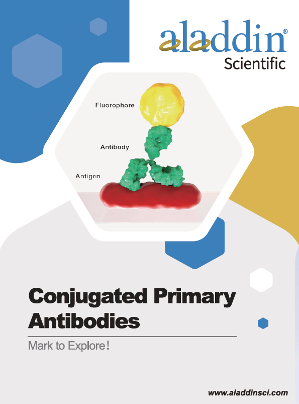 Conjugated Primary Antibodies