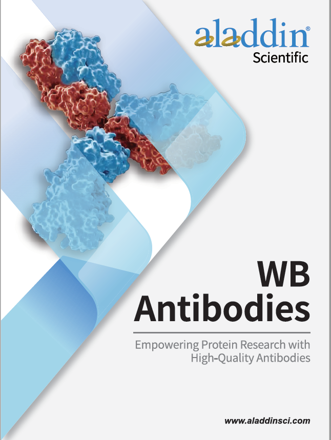 WB Antibodies